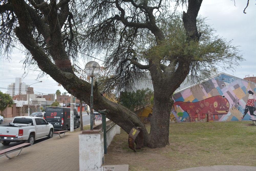 Preocupacioacuten de los vecinos de la plazoleta Los Caldenes por el deterioro del lugar