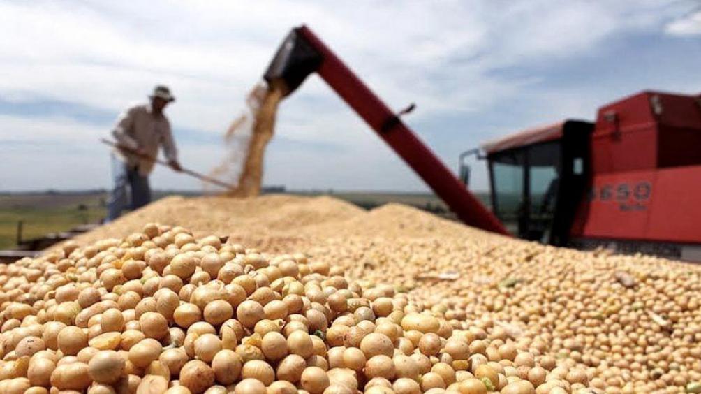 El precio internacional de la soja supera los 650 doacutelares