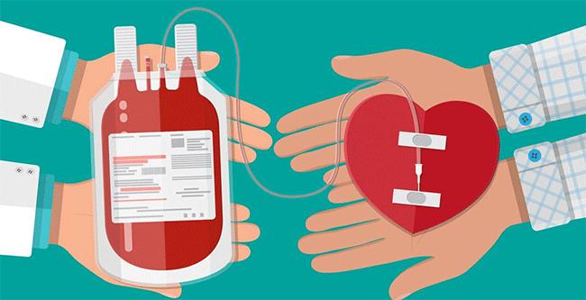 iquestPor queacute es importante la donacioacuten de sangre