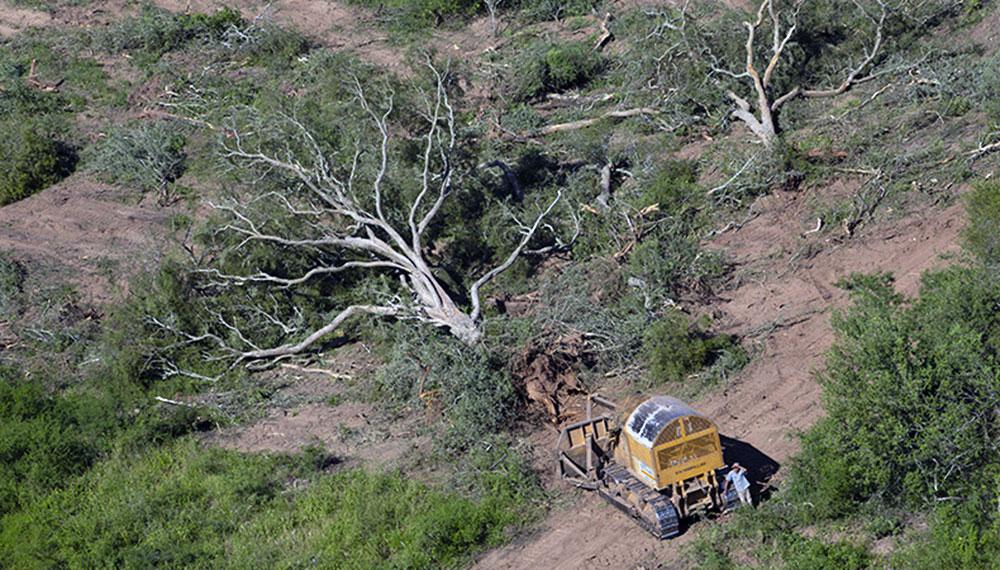 Argentina entroacute en Default Ambiental