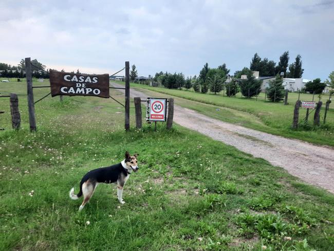 El municipio de Pico dispuso un aacuterea de resguardo para Casas de Campo