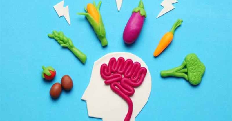 Salud cerebral- cuaacuteles son los 6 alimentos que tienen los mejores nutrientes