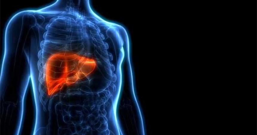 Los 5 tipos de hepatitis y sus efectos para la salud