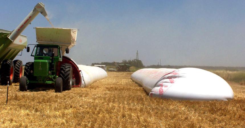 El Gobierno espera sumar unos US 2500 millones por liquidaciones de soja