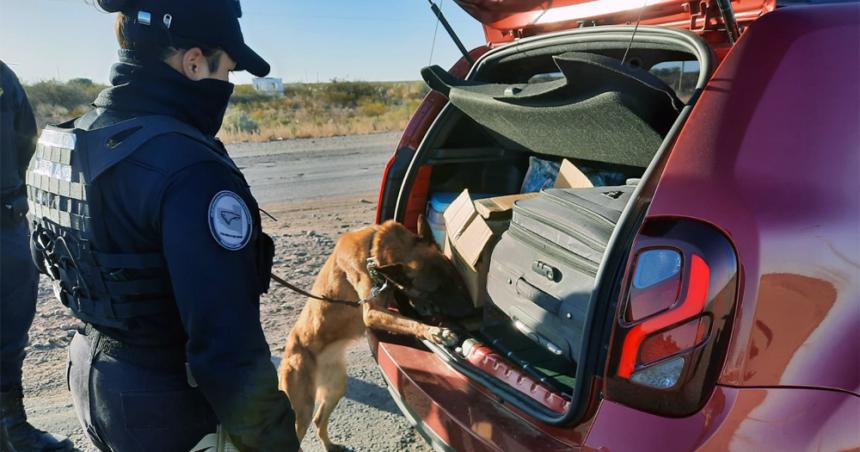 Por primera vez utilizan un escaacutener de camiones no intrusivo