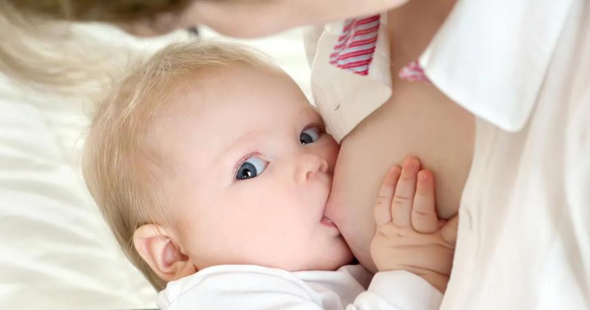 Comenzoacute la Semana de la Lactancia Materna