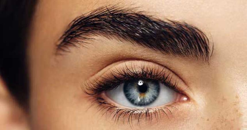 iquestPara queacute sirven las cejas iquestY las pestantildeas