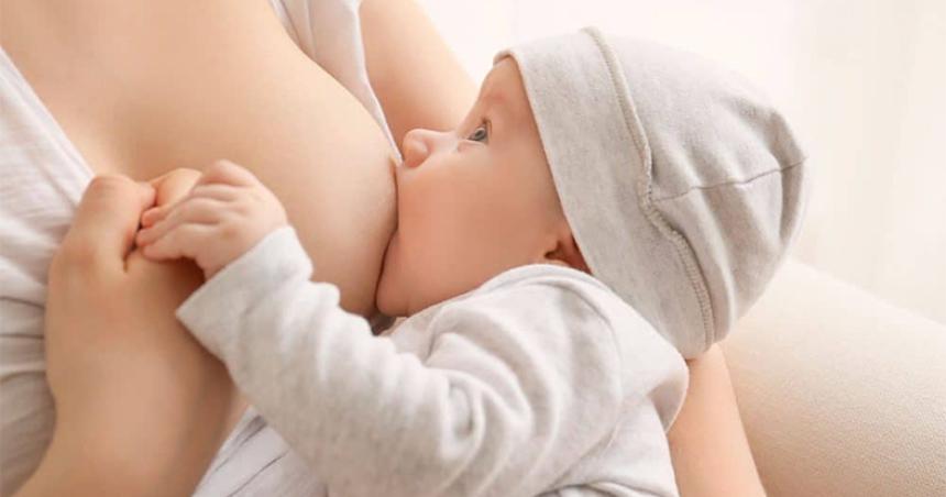 La leche materna un alimento que contiene maacutes de 300 nutrientes