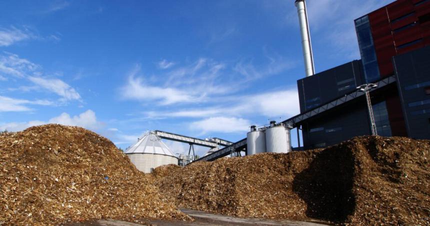 Columna ambiental- La famosa planta de biomasa de Lonquimay