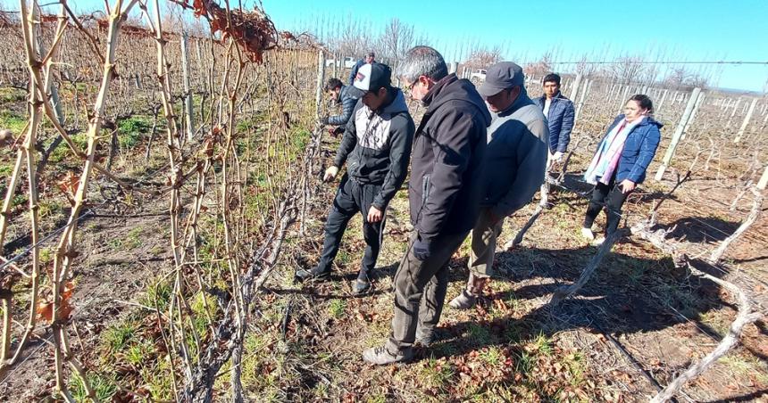 Finalizoacute el ciclo de capacitaciones para especializacioacuten en viticultura