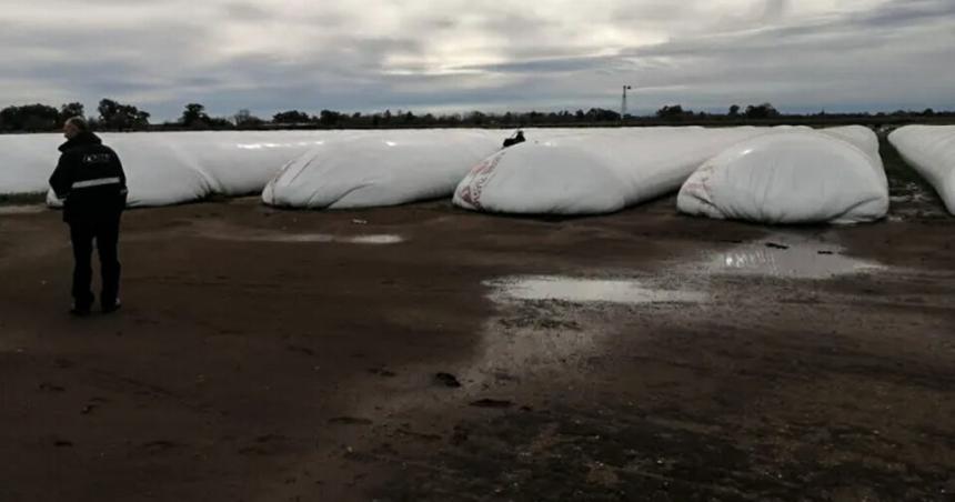 La AFIP incautoacute casi 7 mil toneladas de granos sin declarar