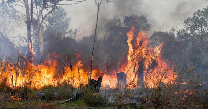 No son lo mismo fuego quema e incendio