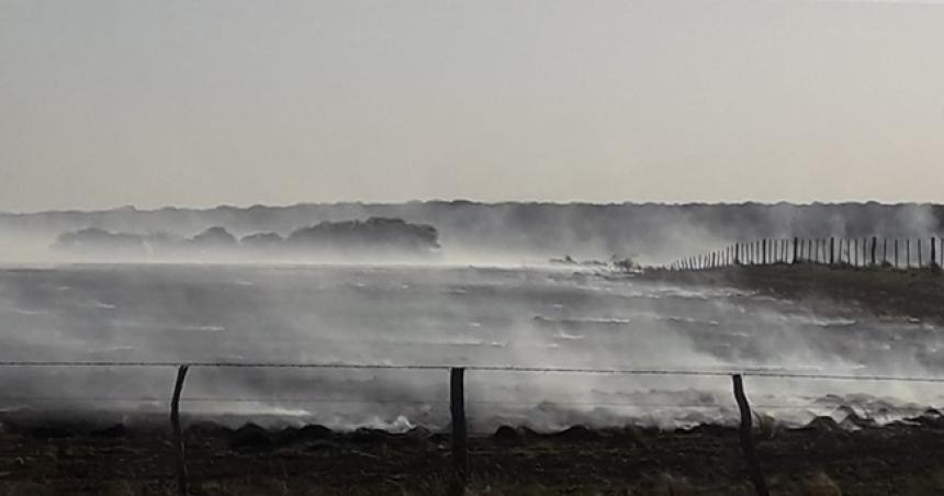 Incendio en un campo de la zona de El Guanaco
