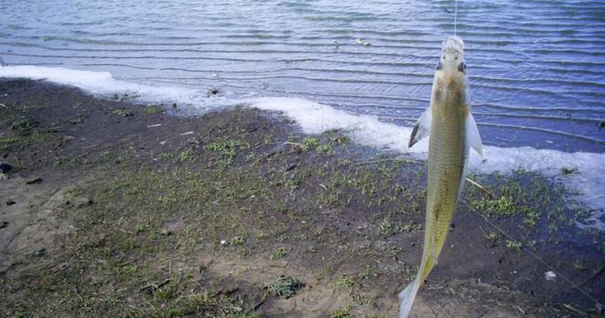 Veda de pesca parcial en la Laguna Don Tomaacutes