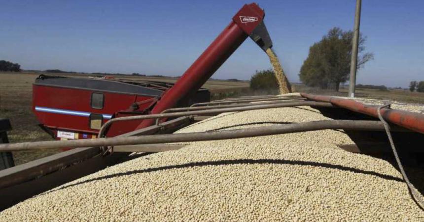 Aluvioacuten de ventas en el primer diacutea del doacutelar soja