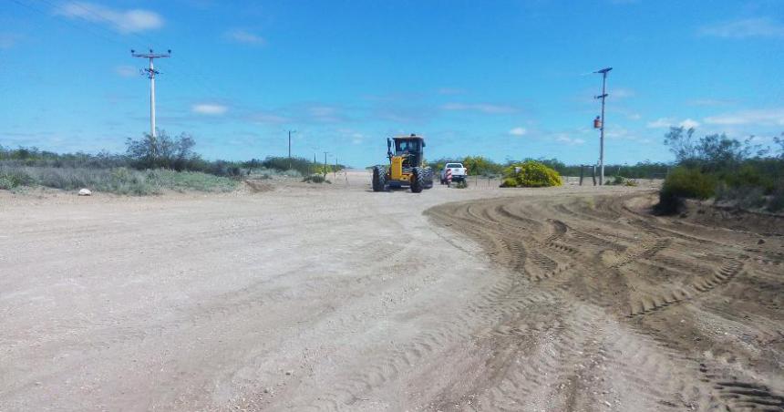 La Pampa reclama que Transportadora Gas del Norte plante 15 mil aacuterboles