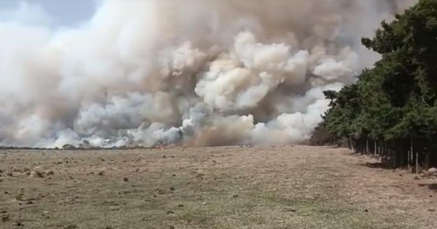 Video- incendio sin control en Quehueacute quemoacute animales y una cosechadora