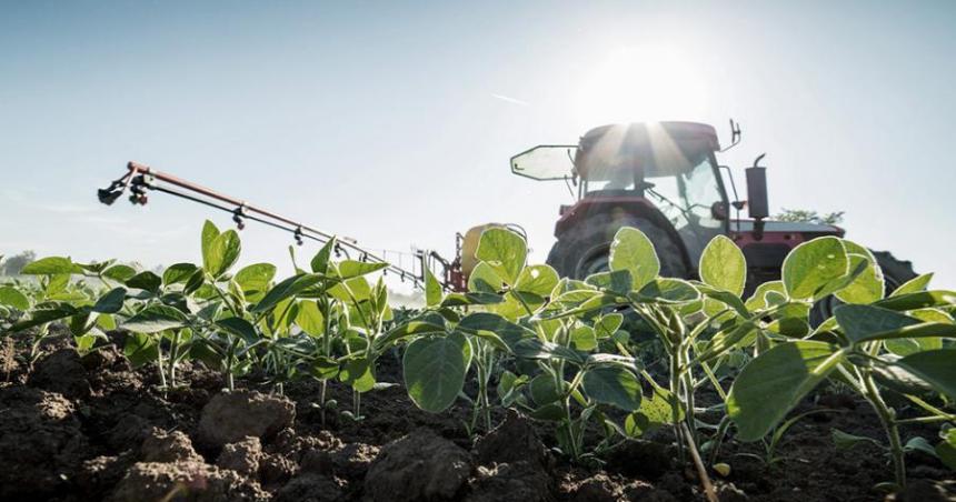 Tras dos semanas de vigencia del doacutelar soja agroexportadores ingresaron US 3564 millones