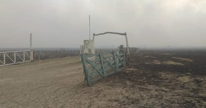 Video- incendio sin control en Quehueacute quemoacute animales y una cosechadora