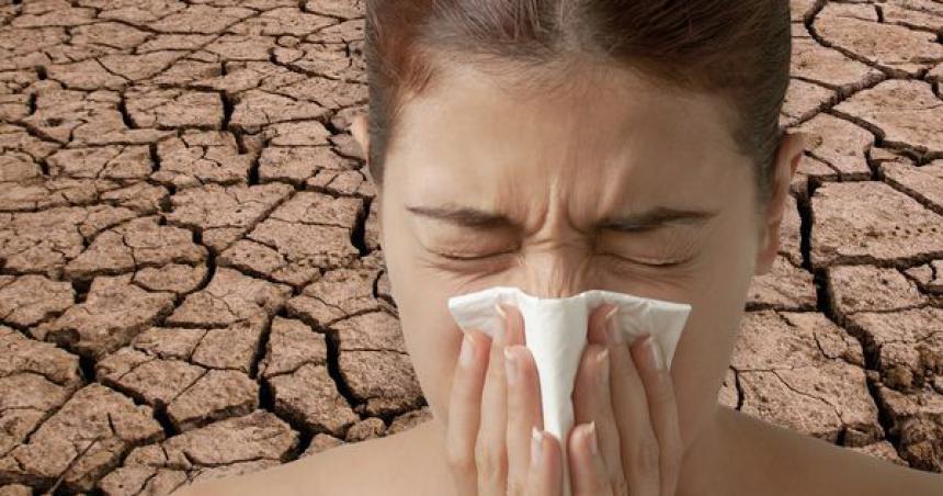 Las alergias empeoran por el Cambio Climaacutetico