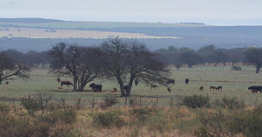 La Pampa- precipitaciones oportunas y dispares 