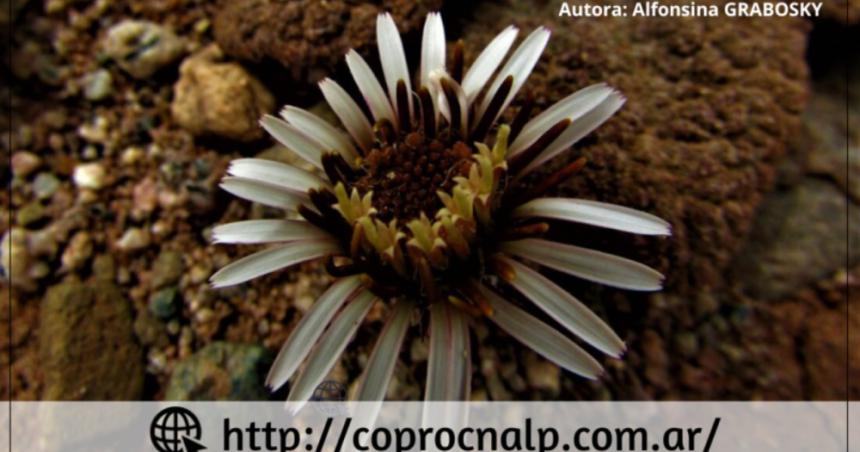 Comienzan Jornadas Pampeanas de Ciencias Naturales