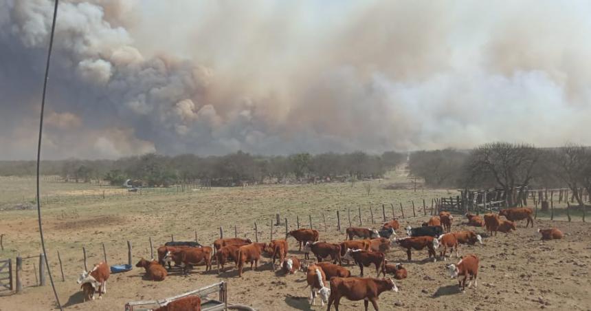 Relevaron dantildeos causados por los incendios