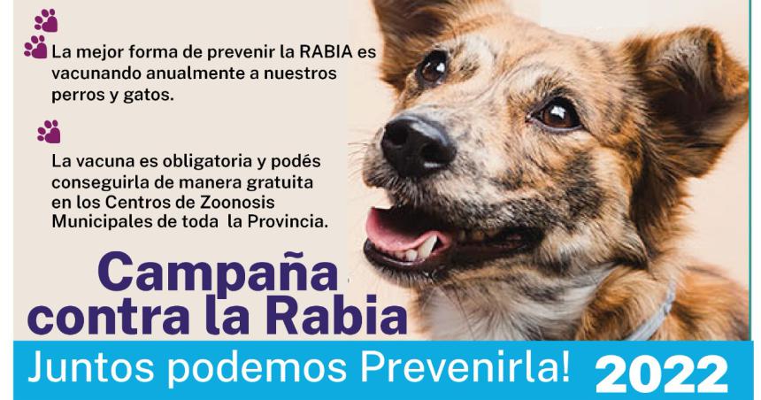 Lucha contra la Rabia- informacioacuten y prevencioacuten