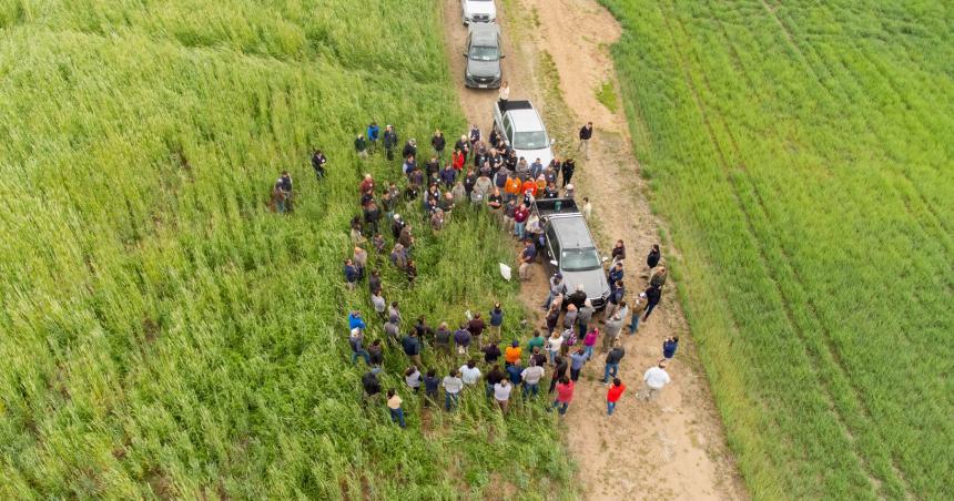 Abordan el problema de la salinizacioacuten en la zona norte productiva