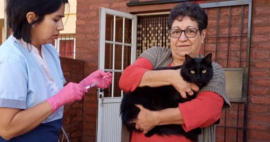 Bloqueo contra la rabia en el Butaloacute y en Villa Parque