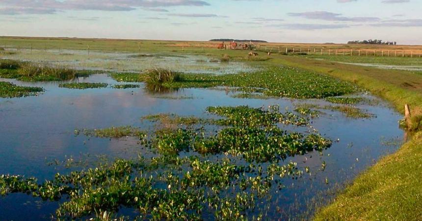 El PC pide por los humedales