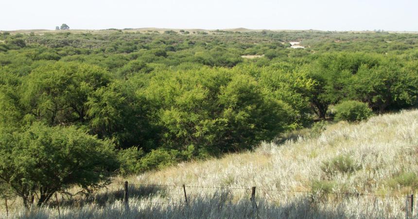 Convocan a productores para intentar salvar el proyecto del Parque Nacional El Caldenal