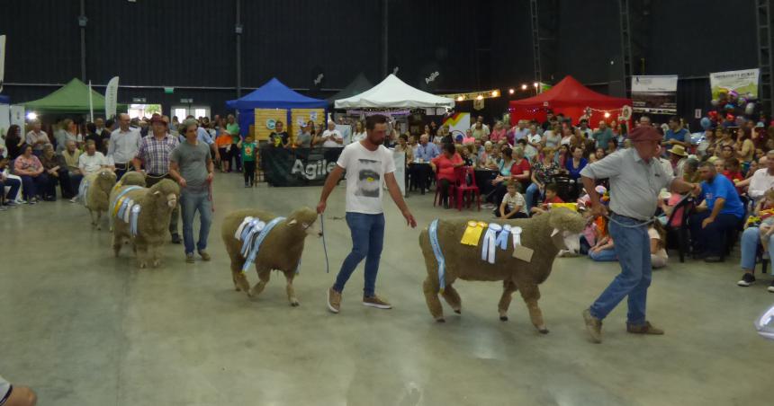 Exitosa 18deg edicioacuten de la Expo Ovino en Alpachiri