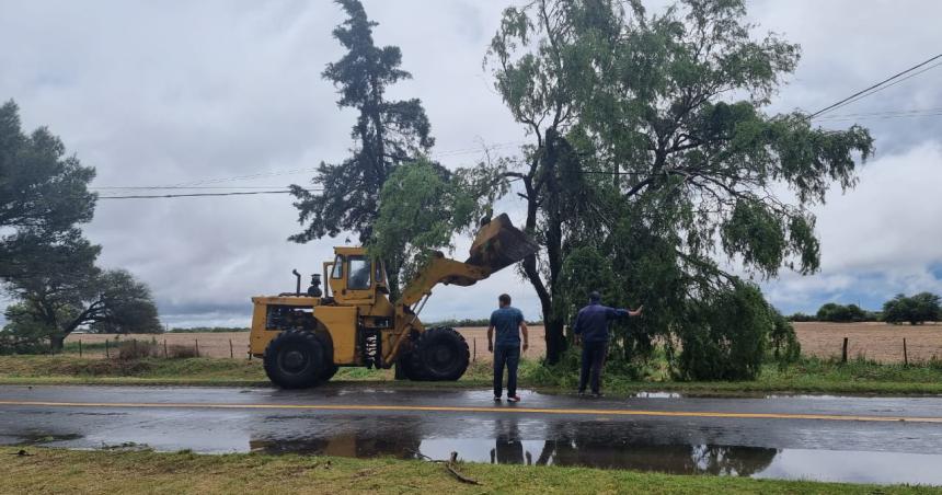 Tormenta con fuertes vientos derriboacute aacuterboles en el acceso a Winifreda