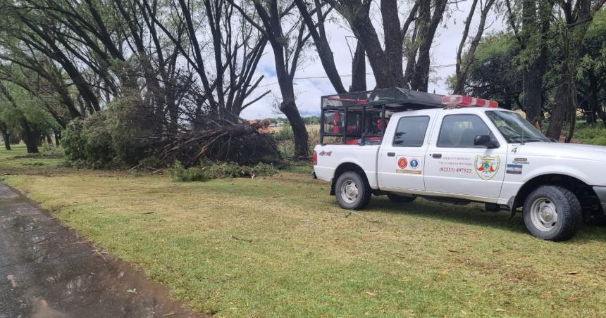 Tormenta con fuertes vientos derriboacute aacuterboles en el acceso a Winifreda