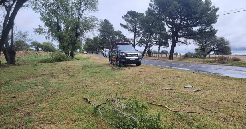 Tormenta con fuertes vientos derriboacute aacuterboles en el acceso a Winifreda