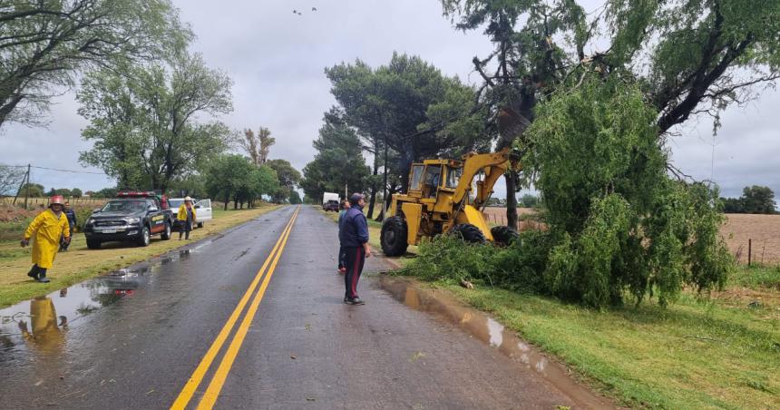 Tormenta con fuertes vientos derriboacute aacuterboles en el acceso a Winifreda