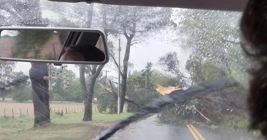 Tormenta con fuertes vientos derriboacute aacuterboles en el acceso a Winifreda