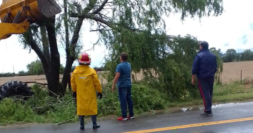 Tormenta con fuertes vientos derriboacute aacuterboles en el acceso a Winifreda