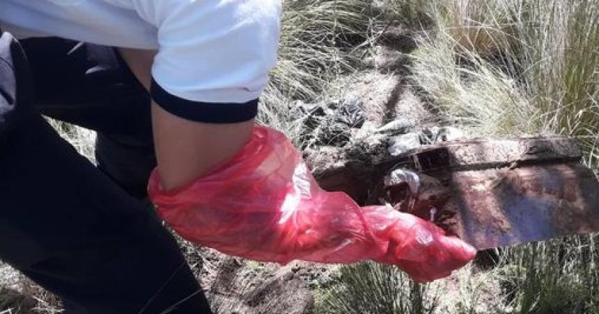 Encontraron un atauacuted en un campo de Toay