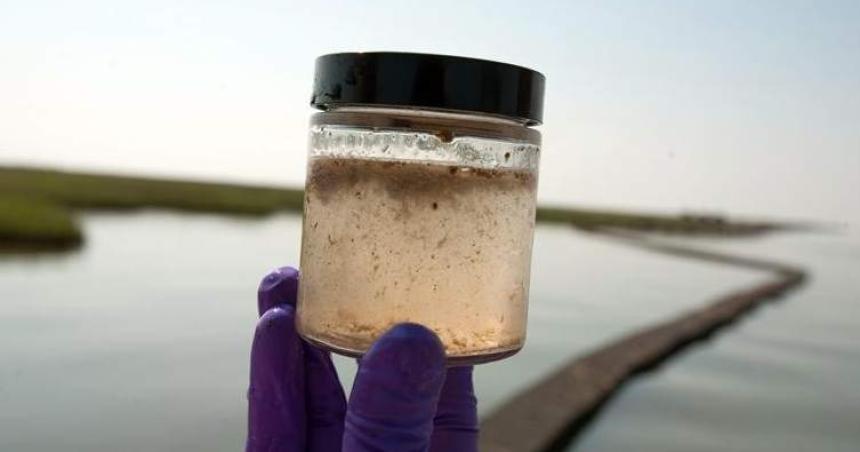 Sobre Arseacutenico en el agua