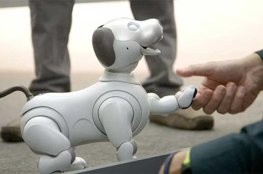 Estos son los perros robot que acompantildearaacuten a los humanos proacuteximamente