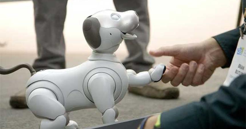 Estos son los perros robot que acompantildearaacuten a los humanos proacuteximamente