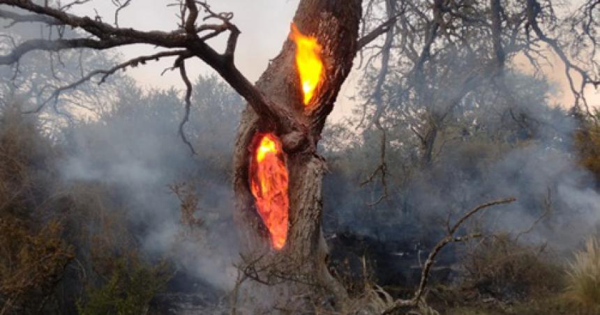 Un rayo causoacute otro incendio en un campo