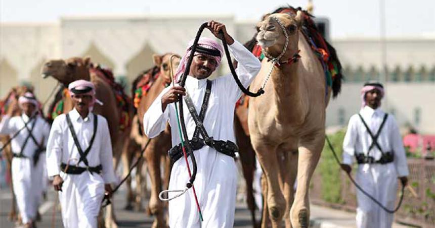 Virus del camello- podriacutean generarse brotes globales tras el Mundial en Qatar advierten los cientiacuteficos