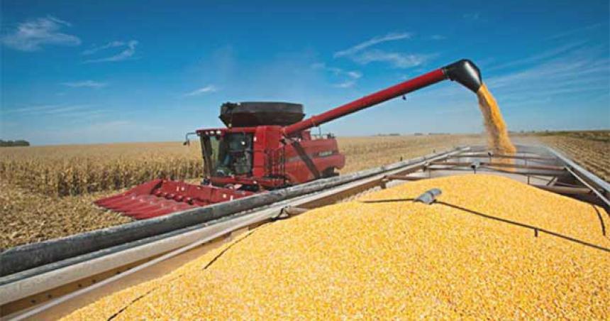 Agroexportadores superaron la meta de USD 3000 millones del doacutelar soja II