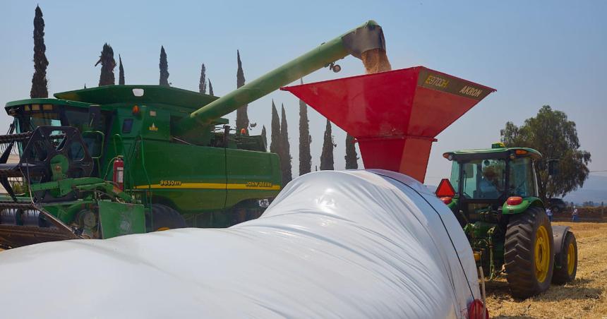 Almacenamiento de trigo en silo bolsa