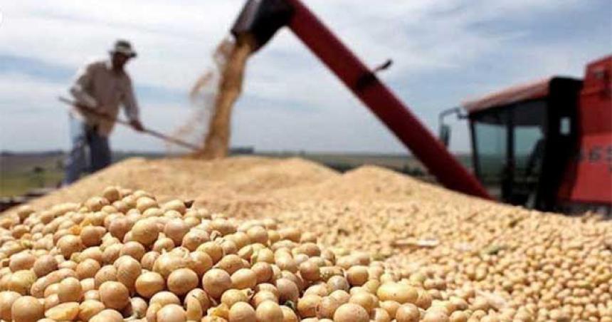 Productores que no entraron al doacutelar soja recibiraacuten una compensacioacuten