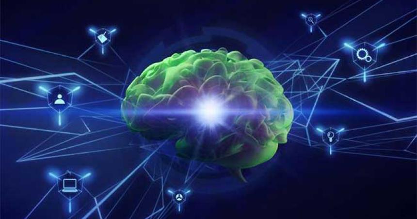 Estudios proponen que el cerebro humano podriacutea funcionar como un ordenador cuaacutentico