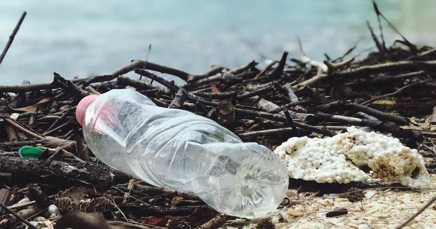 Guiacutea raacutepida y faacutecil para vacacionar sustentablemente